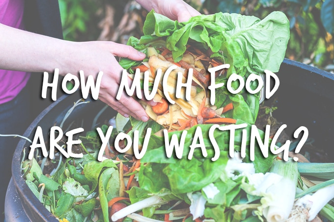 How Much Food Are You Throwing Out, And How Can You Prevent Wastage? #foodwaste #environment #food #wastage #vegan #vegetarian #planet #sustainability