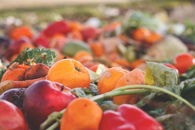 How Much Food Are You Throwing Out, And How Can You Prevent Wastage? #foodwaste #environment #food #wastage #vegan #vegetarian #planet #sustainability