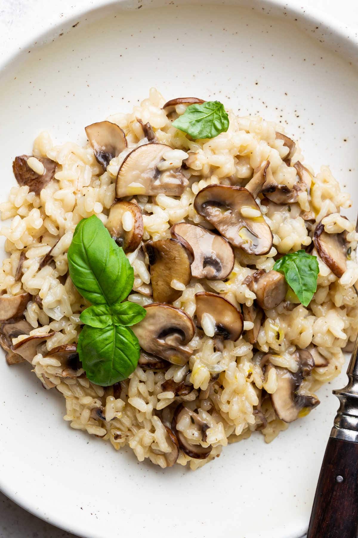 wild mushroom risotto.