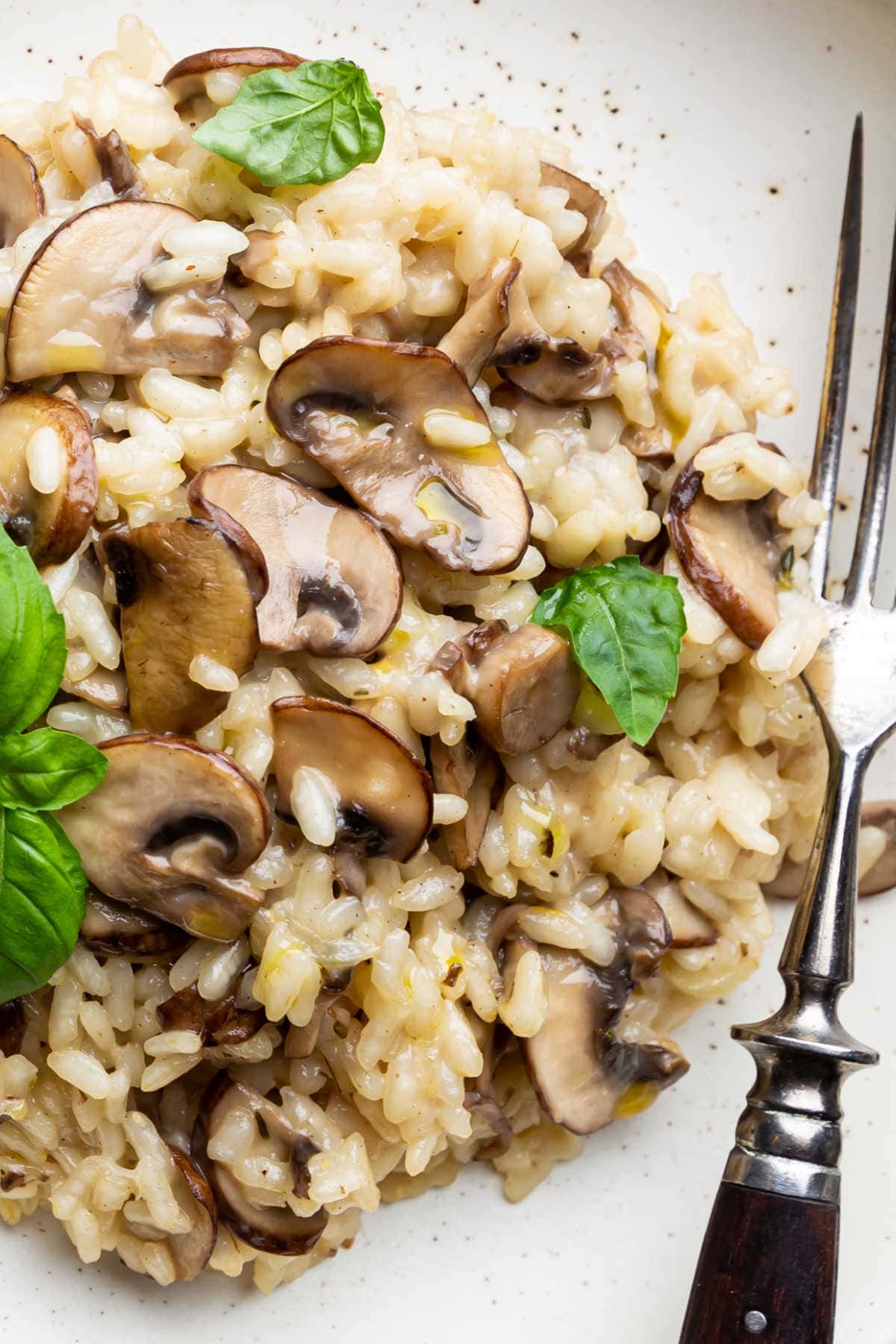 risotto with mushrooms.