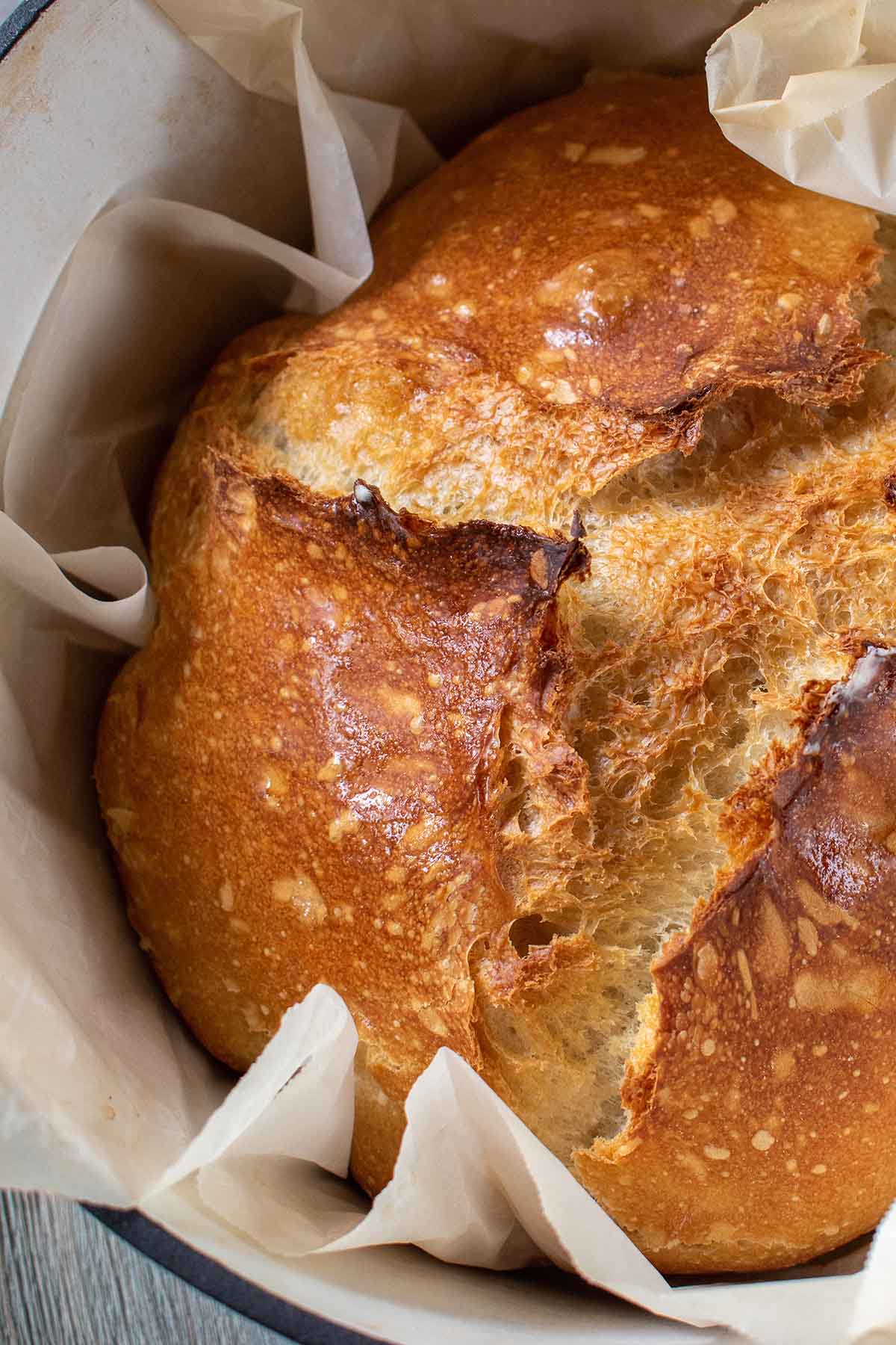 Vegan Bread Recipe – Crazy Vegan Kitchen